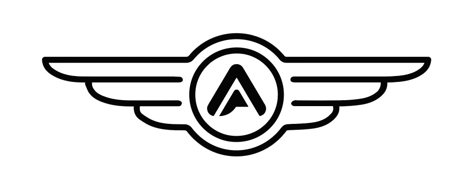 Pinnacle crew wings